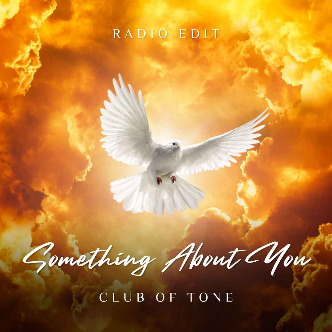 SOMETHING ABOUT YOU (radio edit) by Club of Tone